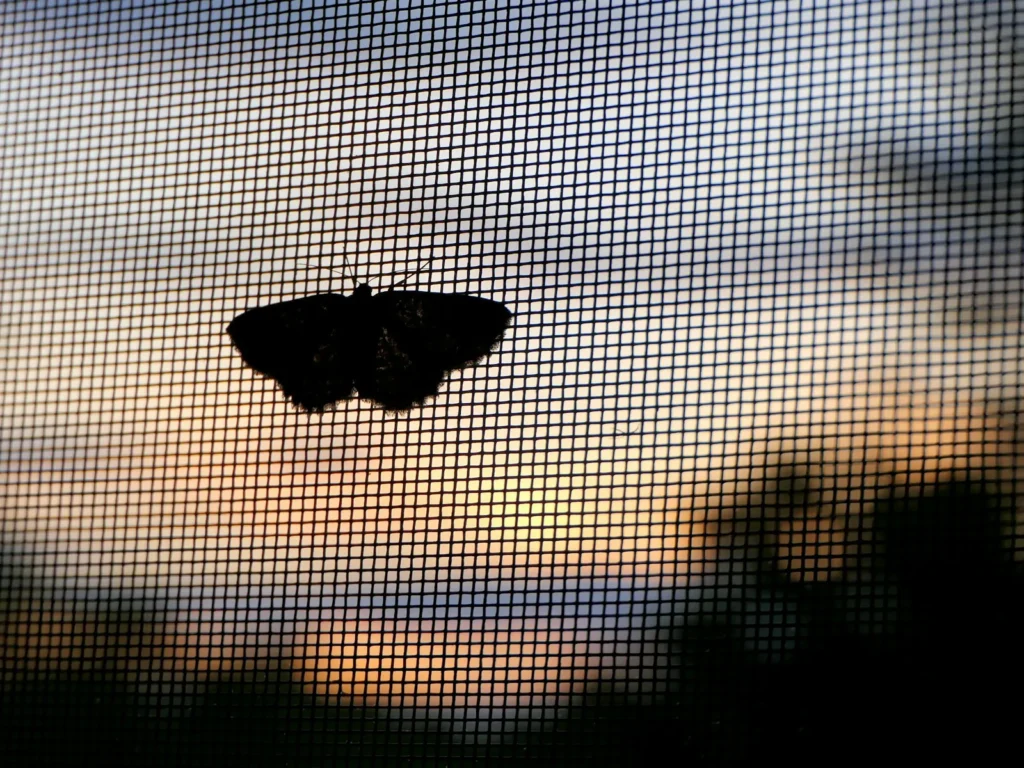 Close-up of a window screen mesh against a sunset sky
